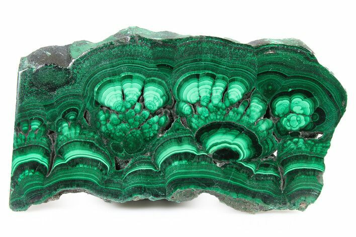 Polished Malachite Slab - DR Congo #266800